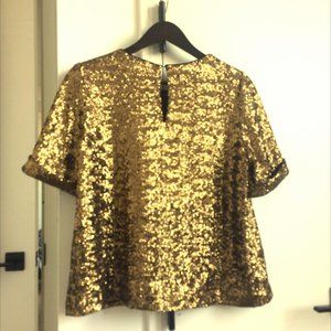 the blouse Ludmila